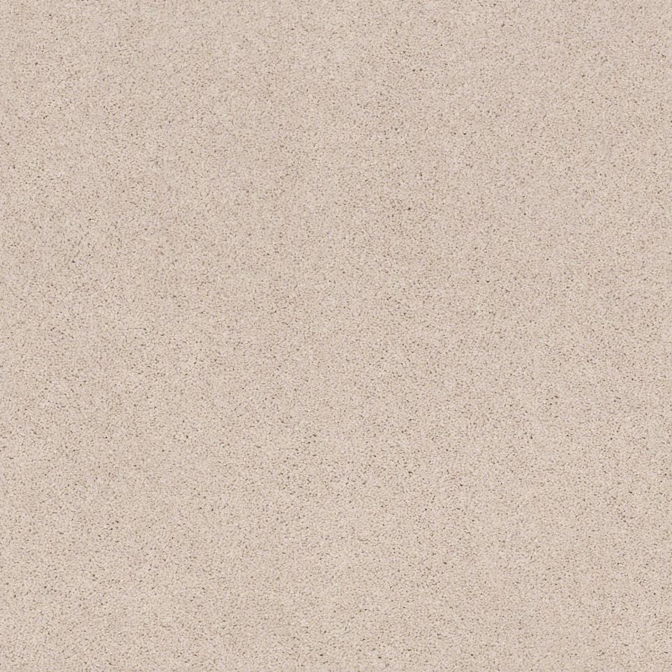 Texture Opalescent Beige/Tan Carpet