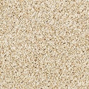 Textured Saxony MOONRISE Beige/Tan Carpet