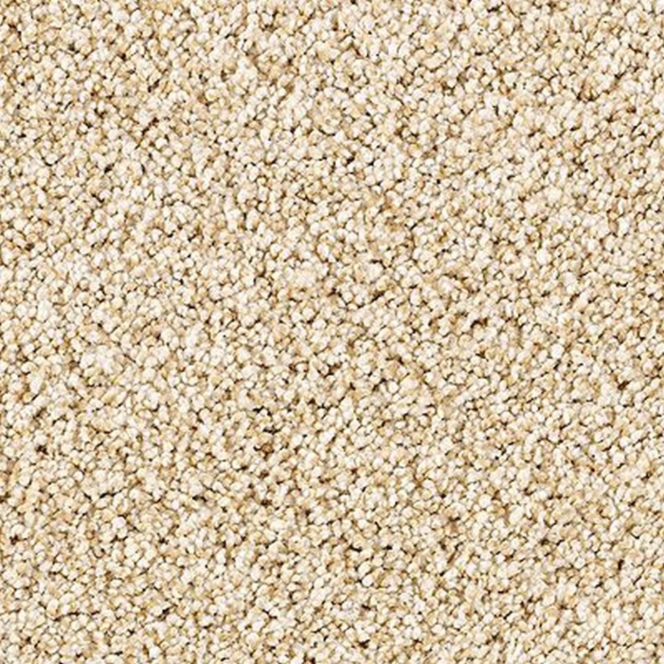 Textured Saxony MOONRISE Beige/Tan Carpet
