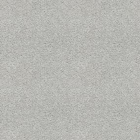 Textured Saxony Alliance Gray Carpet