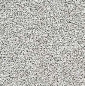 Textured Saxony Alliance Gray Carpet