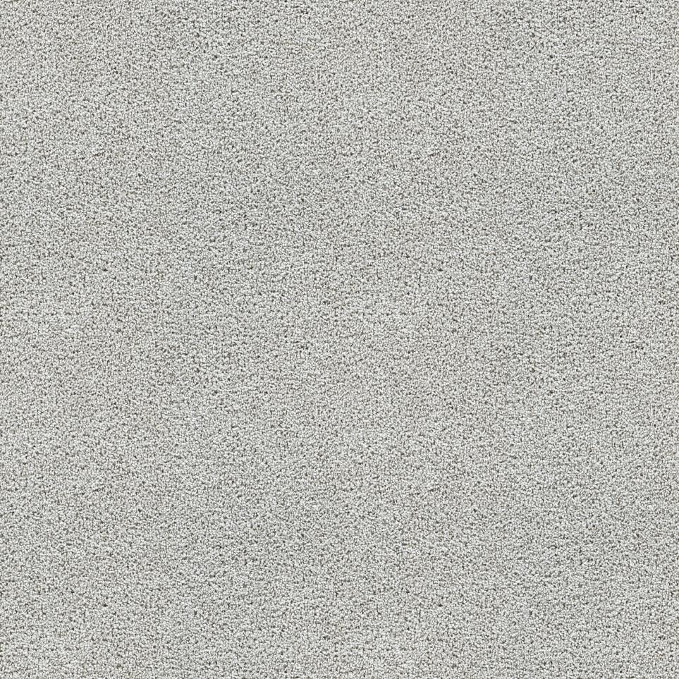 Textured Saxony Alliance Gray Carpet