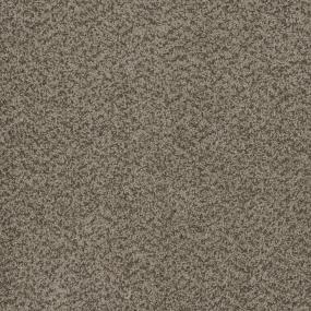 Textured Saxony Serenity Beige/Tan Carpet