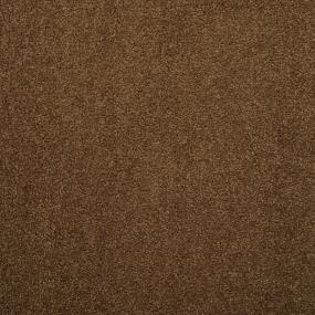 Casual Texture Brushed Sable Brown Carpet