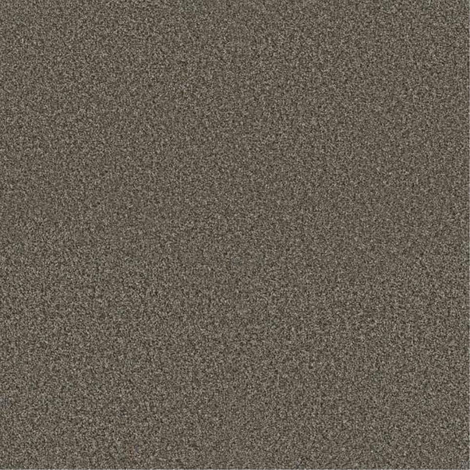 Plush Saxony Wood Grain Brown Carpet