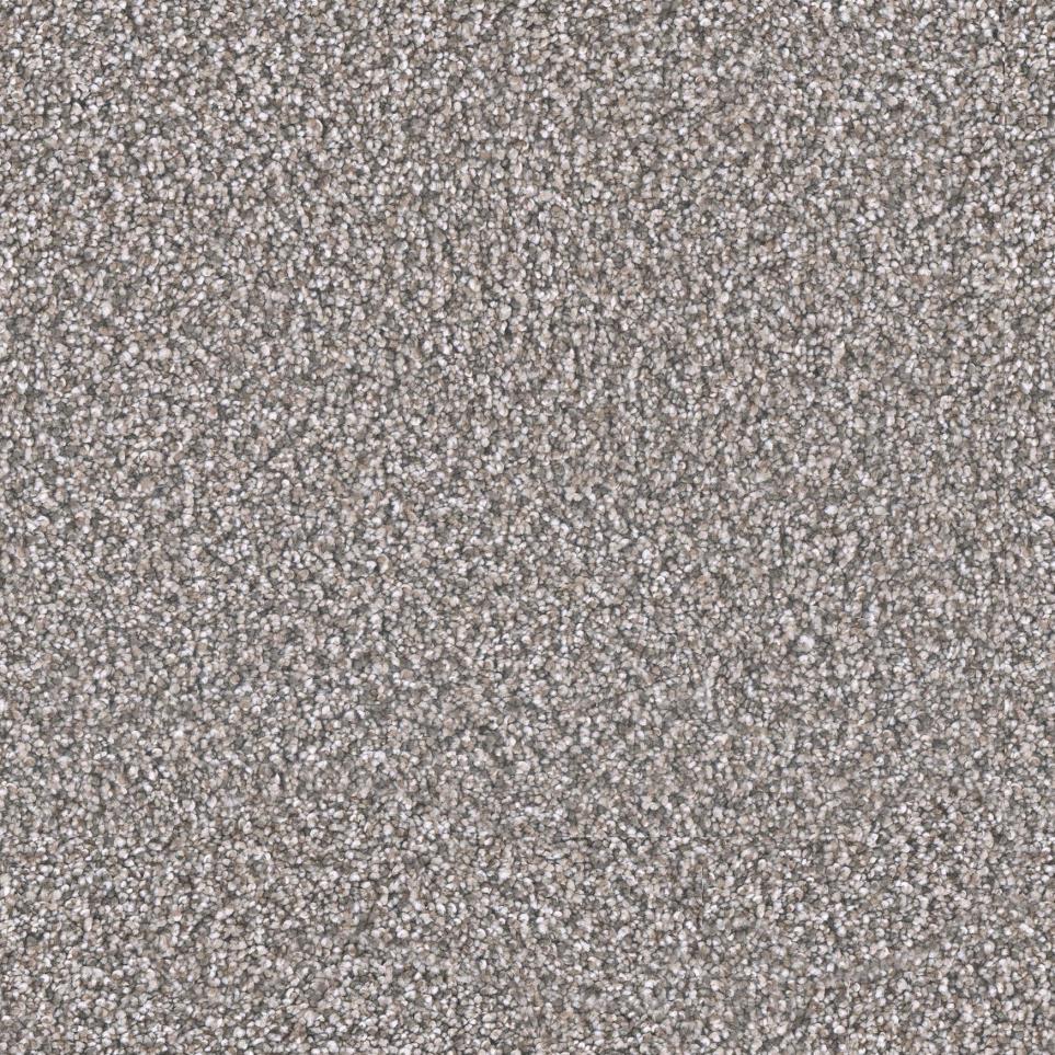 Textured Saxony Brookside Gray Carpet