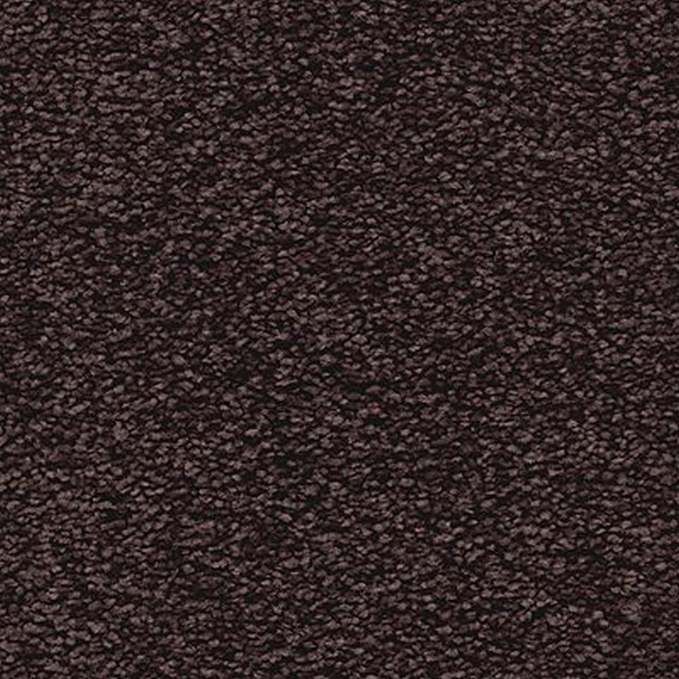 Textured Saxony Majestic Black Carpet