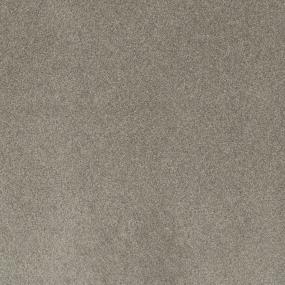 Textured Saxony DIRECTOR Brown Carpet