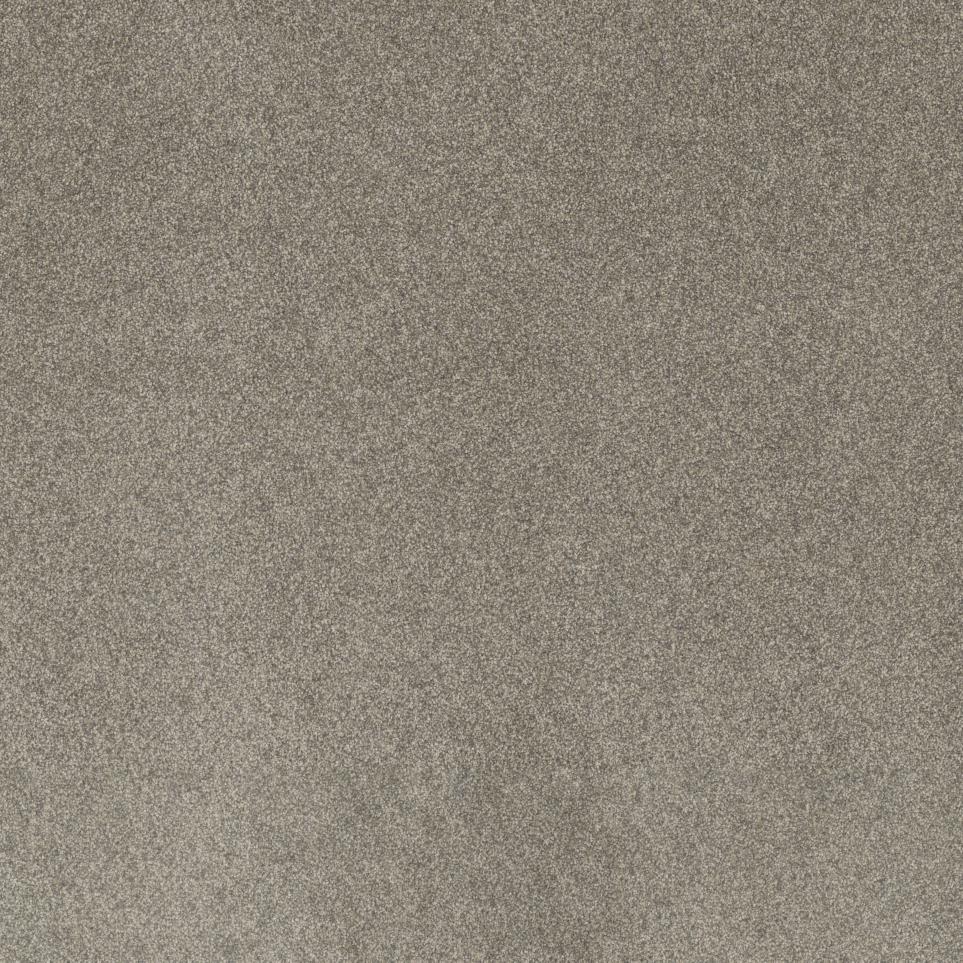 Textured Saxony DIRECTOR Brown Carpet