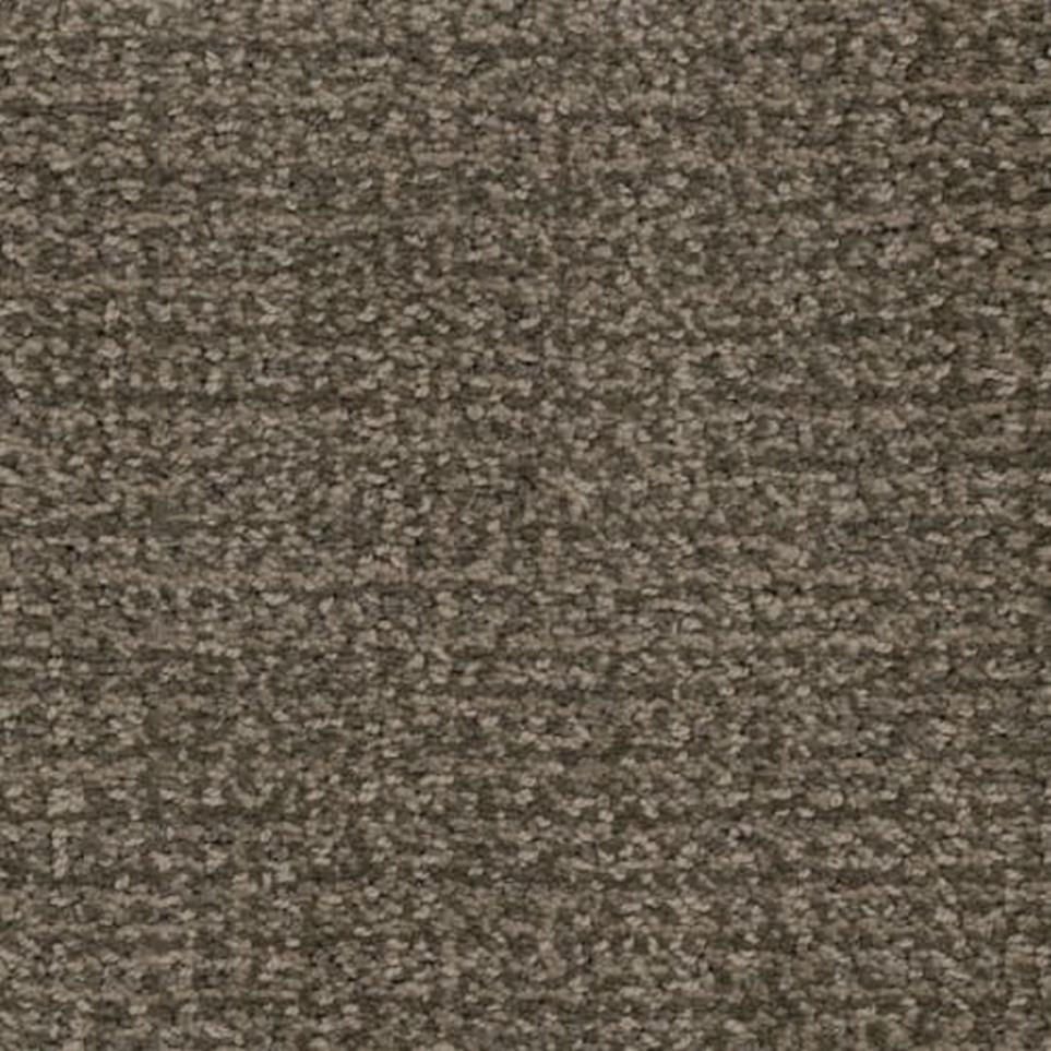 Pattern Andy Warhowl Brown Carpet