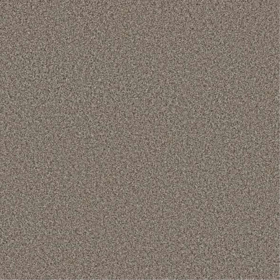 Textured Saxony Historic Mark Beige/Tan Carpet