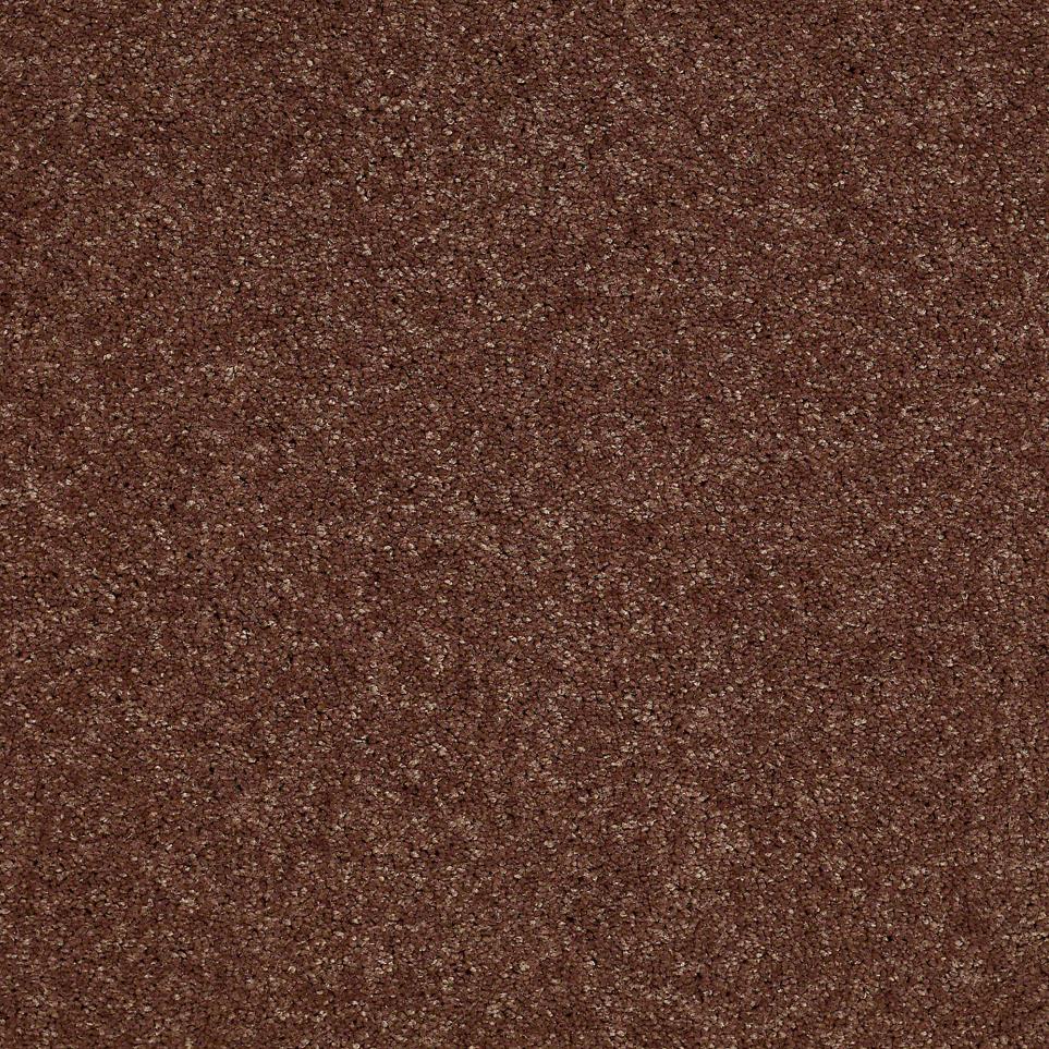 Texture Fudge Brown Carpet
