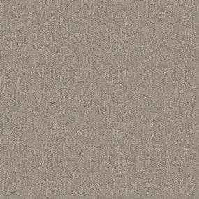 Plush Saxony Trade Winds Beige/Tan Carpet