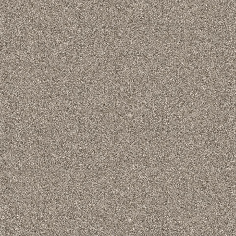 Plush Saxony Trade Winds Beige/Tan Carpet