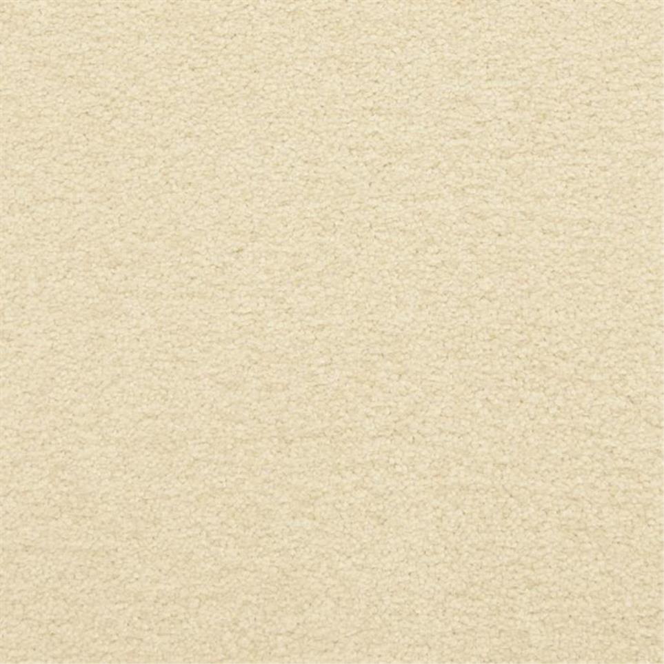 Casual Texture Cake Batter Beige/Tan Carpet