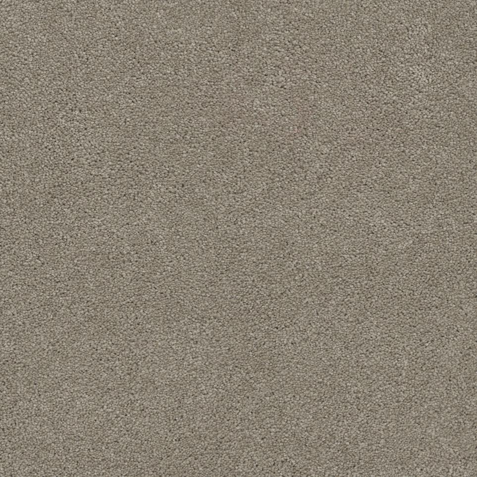 Texture Woodside Beige/Tan Carpet