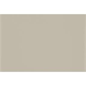 Tile Architectural Gray Glossy Beige/Tan Tile
