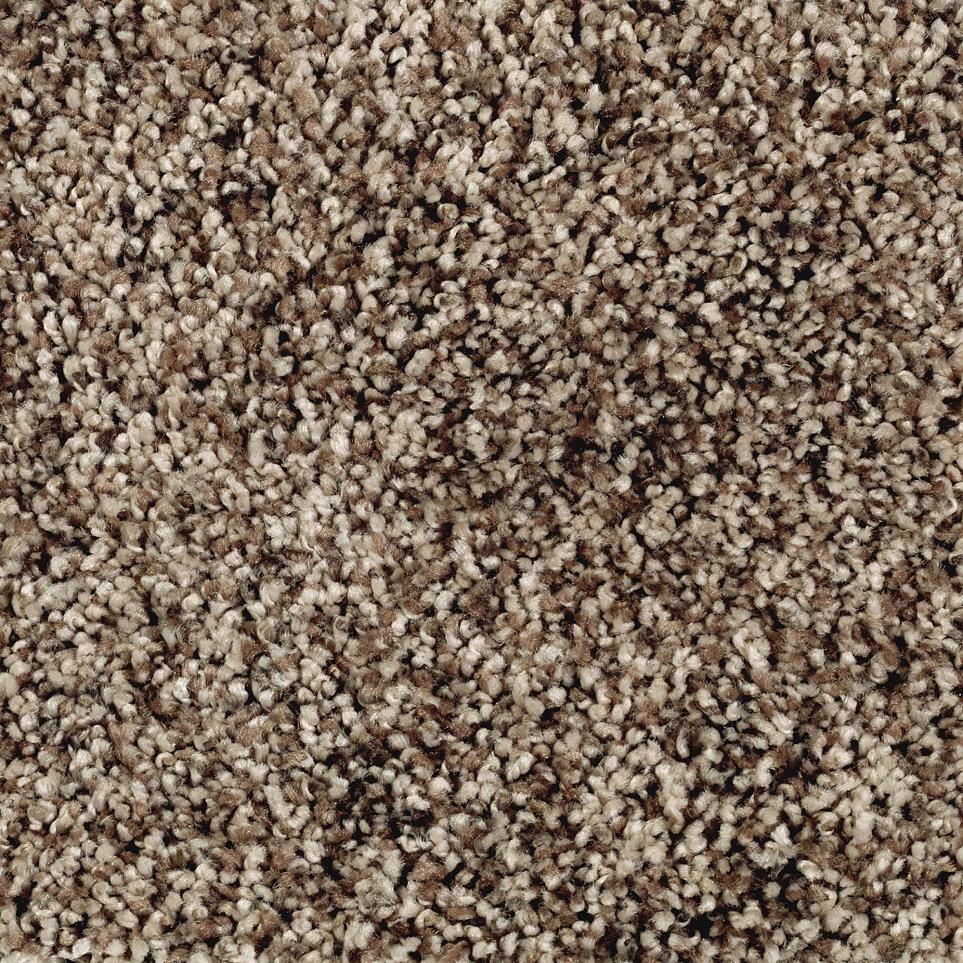 Texture Harvest Brown  Carpet
