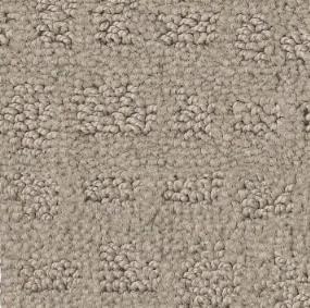 Pattern Tawny Bark Beige/Tan Carpet
