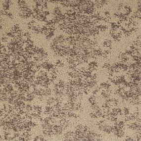Pattern Toledo Beige/Tan Carpet