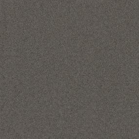 Textured Saxony Night View Gray Carpet