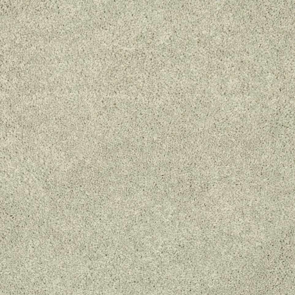 Textured Saxony Classical Beige/Tan Carpet