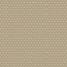 Loop Raffia Beige/Tan Carpet