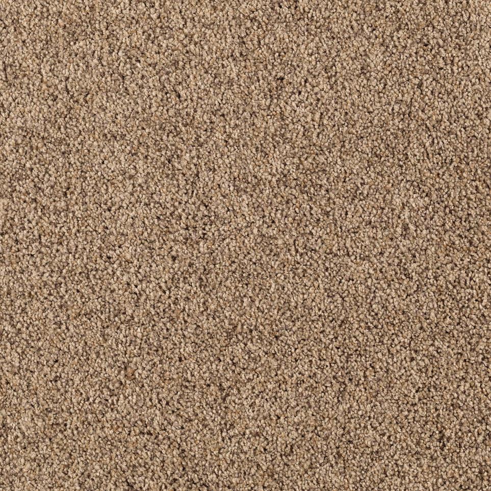 Texture Palm Desert Brown Carpet