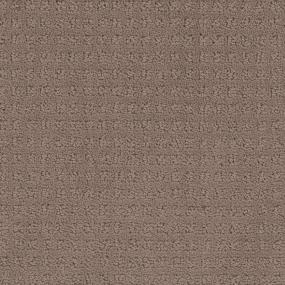 Pattern Mica Brown Carpet