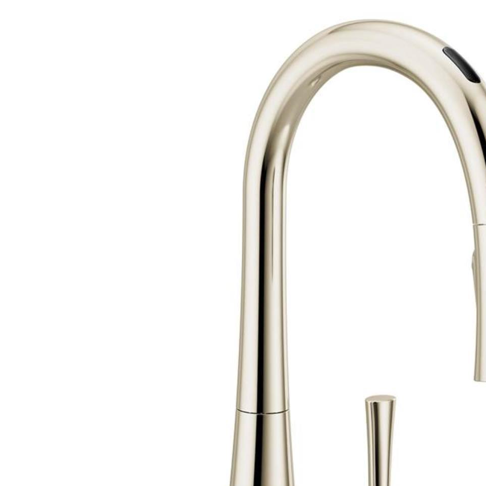 Kitchen Polished Nickel Nickel Faucets