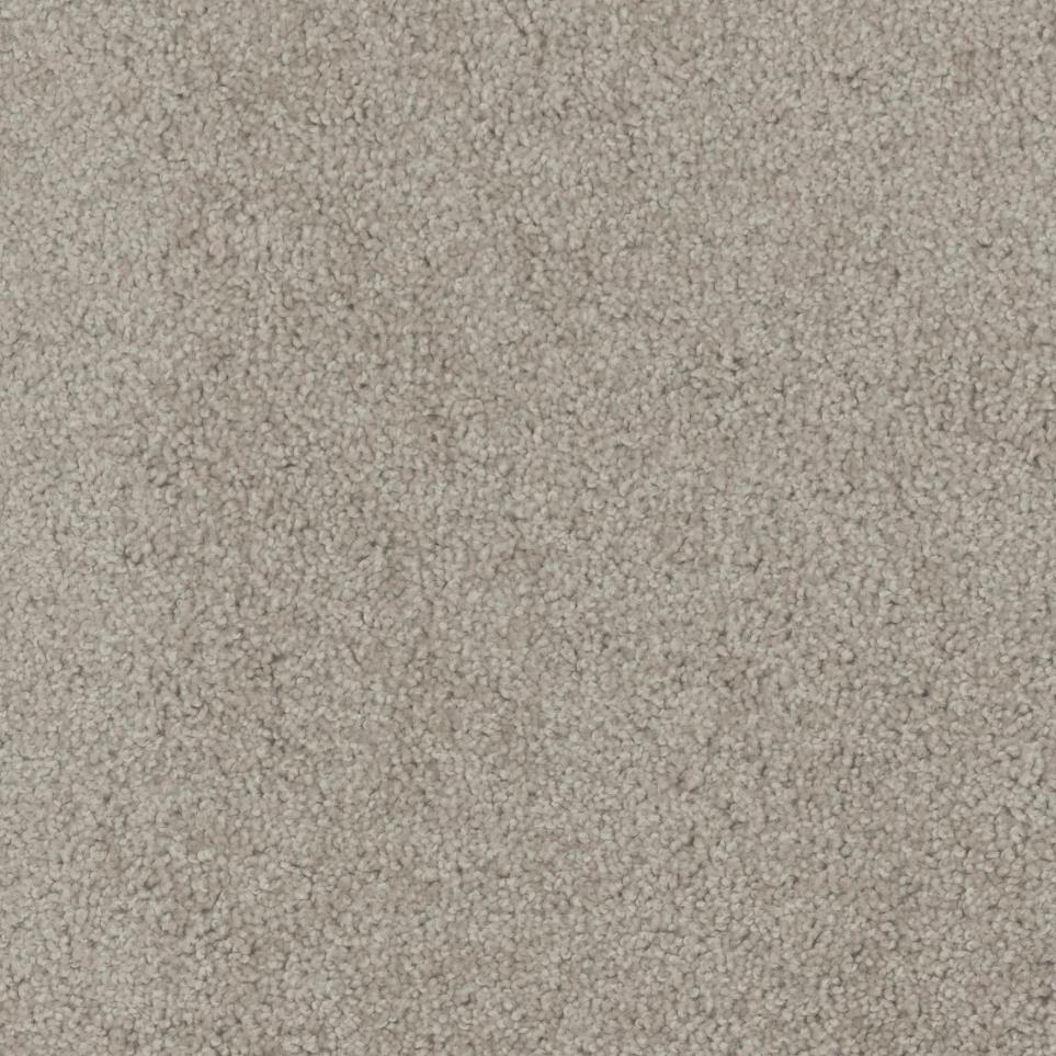 Textured Saxony Winter Twig Beige/Tan Carpet