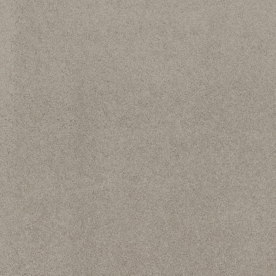 Texture Winter Twig Beige/Tan Carpet