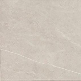 Tile Dynamic Beige Matte Beige/Tan Tile