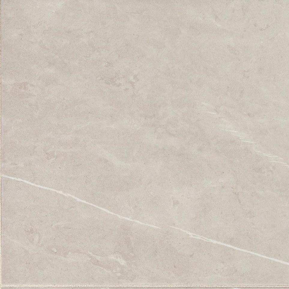 Tile Dynamic Beige Matte Beige/Tan Tile