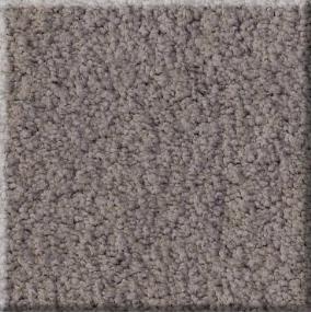 Plush Evening Shade Gray Carpet