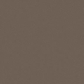 Texture Cottage Beige/Tan Carpet