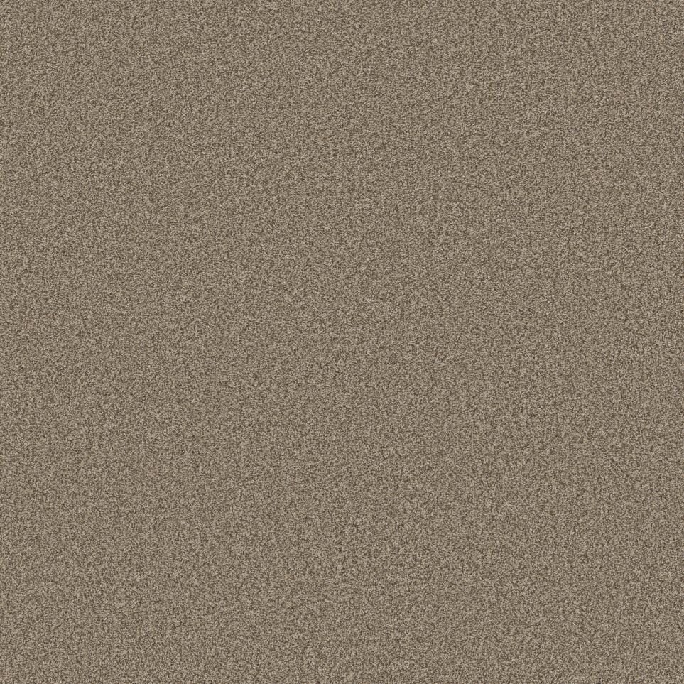Texture Desert Sand Beige/Tan Carpet