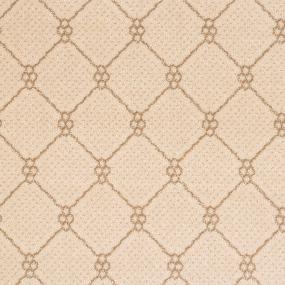 Woven Linen Beige/Tan Carpet