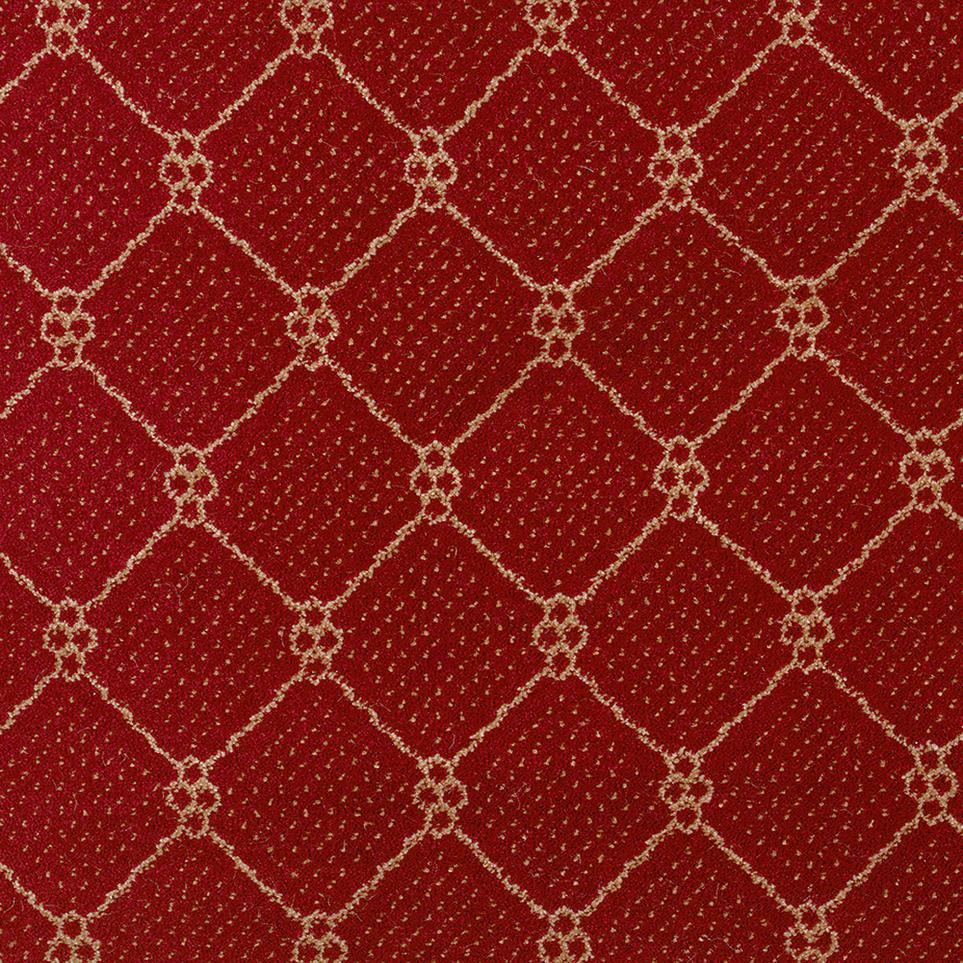 Pattern Robin Red Red Carpet