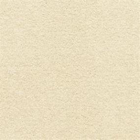 Textured Saxony Adobe Beige/Tan Carpet