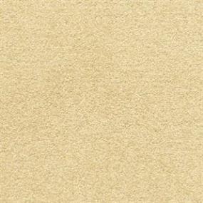 Textured Saxony Sundial Beige/Tan Carpet