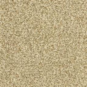 Textured Saxony Maplewood Beige/Tan Carpet