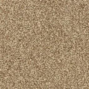 Textured Saxony Hidden Valley Brown Carpet