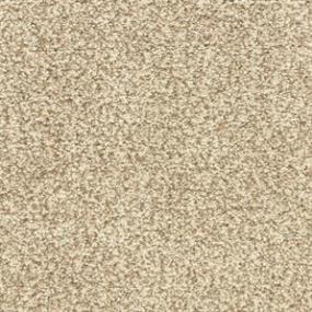 Textured Saxony Runyon Beige/Tan Carpet