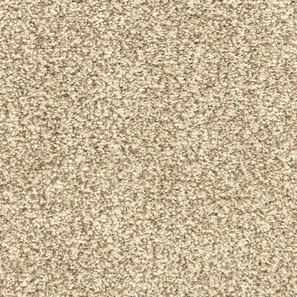 Texture Runyon Beige/Tan Carpet