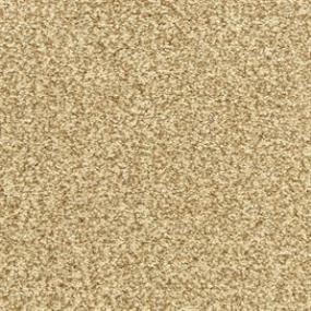 Textured Saxony Acorn Beige/Tan Carpet