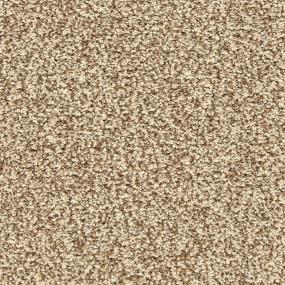 Textured Saxony Havana Beige/Tan Carpet