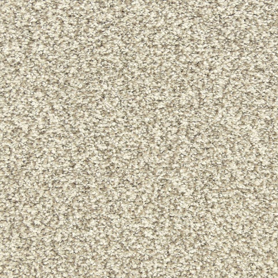 Texture Vapor Beige/Tan Carpet