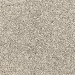 Textured Saxony Alloy Beige/Tan Carpet