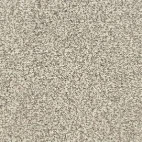 Textured Saxony Artic Blast Beige/Tan Carpet
